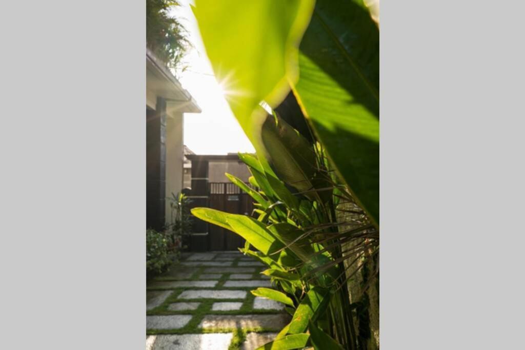 Kubu Lestari *